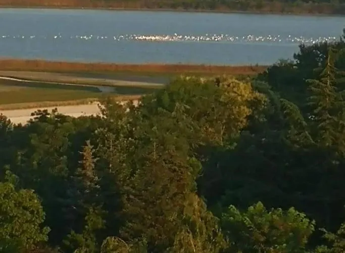 Apartament Mila's Burgas City